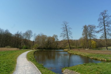 Alman Muensterland 'inde bahar geldi.