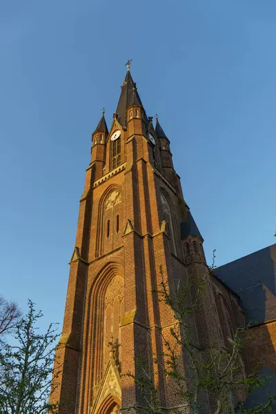 Alman Muensterland Inde Bahar Geldi — Stok fotoğraf