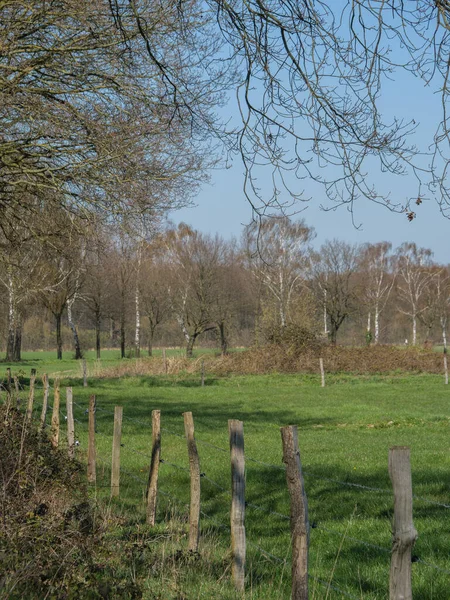 Весеннее Время Германии Muensterland — стоковое фото