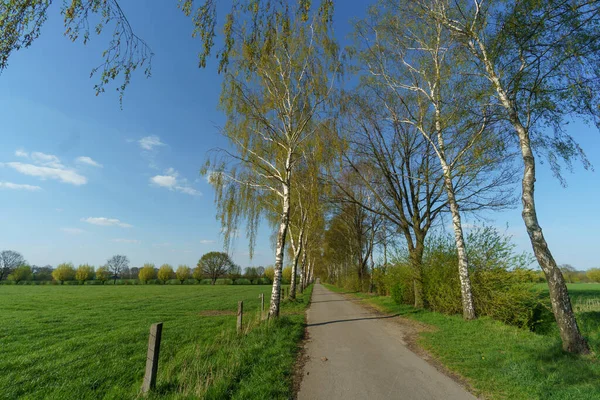 Άνοιξη Στο Γερμανικό Muensterland — Φωτογραφία Αρχείου