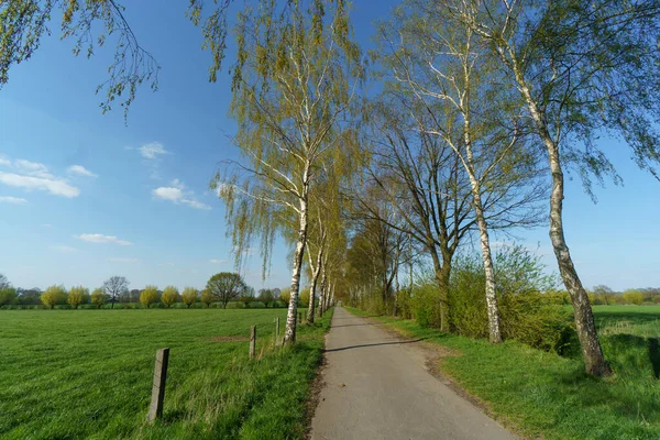 Jaro Německém Muensterlandu — Stock fotografie