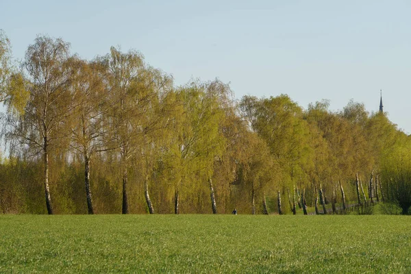 Frühlingszeit Münsterland — Stockfoto