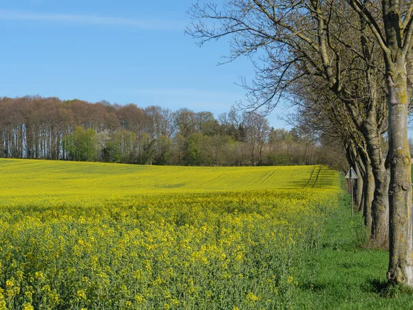 Frühlingszeit Münsterland — Stockfoto