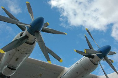 Alman Muensterland 'inde bahar geldi.