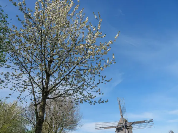 Vårtid Det Tyska Muensterland — Stockfoto