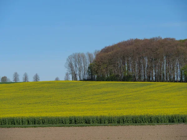 Primavera Muensterland Alemão — Fotografia de Stock