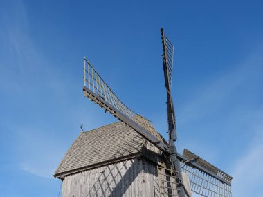 Alman Muensterland 'inde bahar geldi.