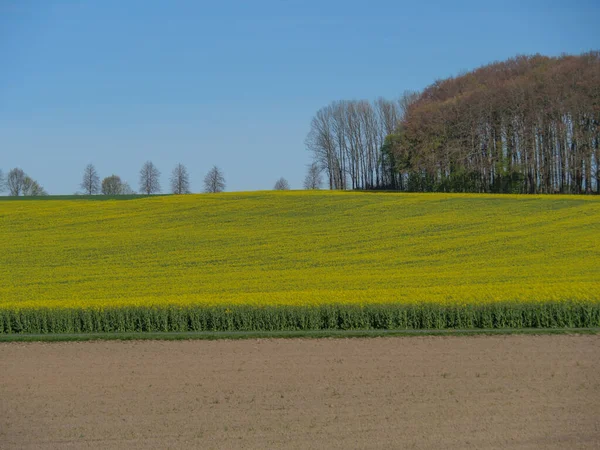 Primavera Muensterland Alemão — Fotografia de Stock