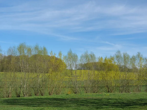 Alman Muensterland Inde Bahar Geldi — Stok fotoğraf