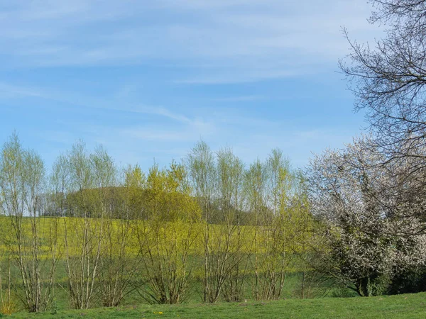 Alman Muensterland Inde Bahar Geldi — Stok fotoğraf