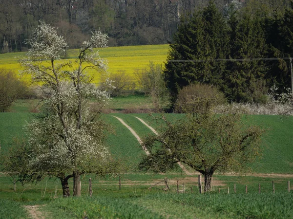 Весеннее Время Германии Muensterland — стоковое фото