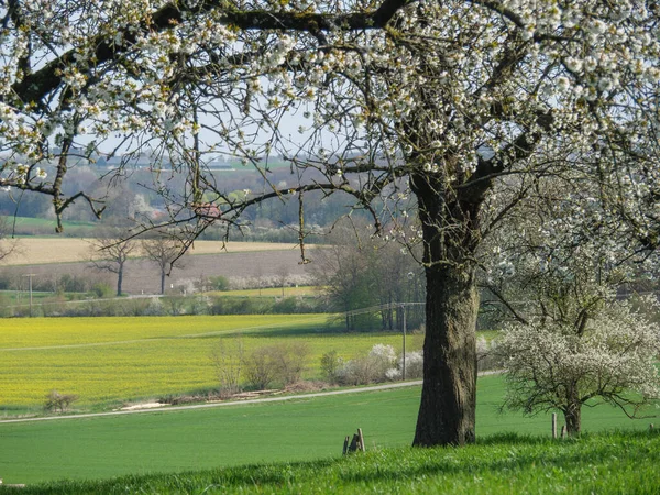 Frühlingszeit Münsterland — Stockfoto