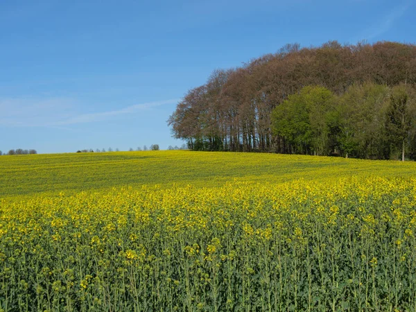 Primavera Muensterland Alemão — Fotografia de Stock