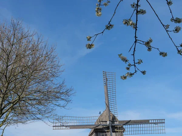 Vårtid Det Tyska Muensterland — Stockfoto