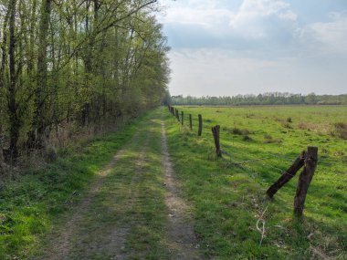 Alman Muensterland 'inde bahar geldi.