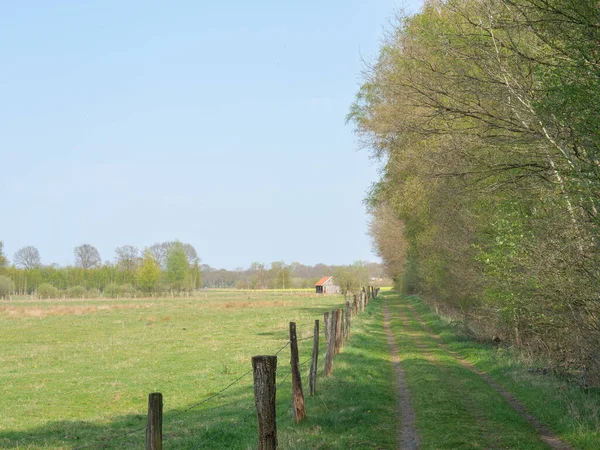 Άνοιξη Στο Γερμανικό Muensterland — Φωτογραφία Αρχείου