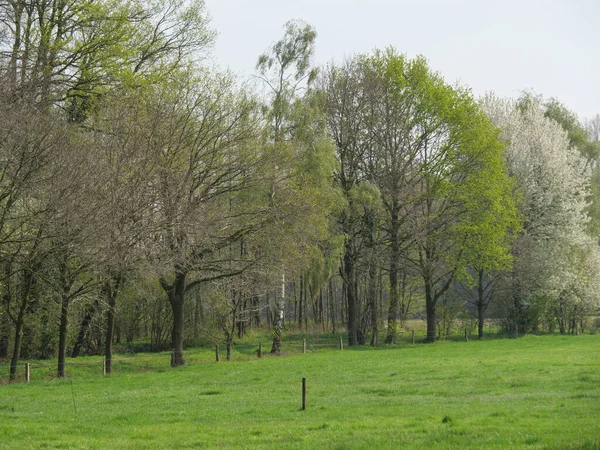 Printemps Dans Pays Des Muentins Allemand — Photo