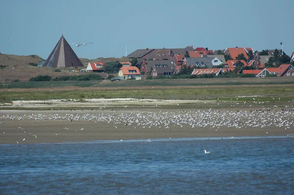 Isla Alemana Spiekeroog Mar Del Norte — Foto de Stock