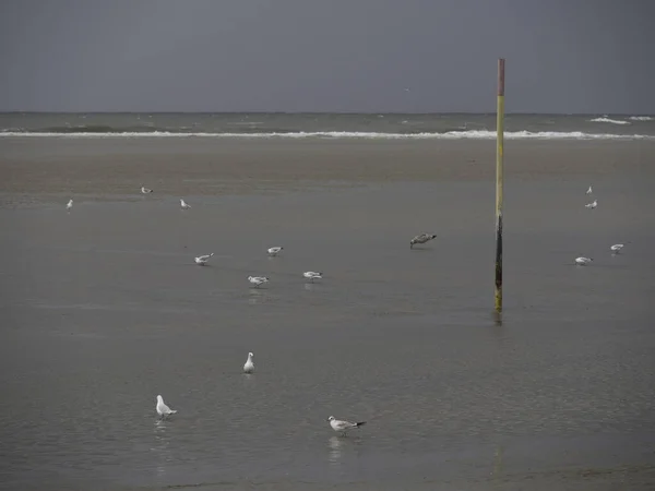 Die Deutsche Insel Spiekeroog Der Nordsee — Stockfoto