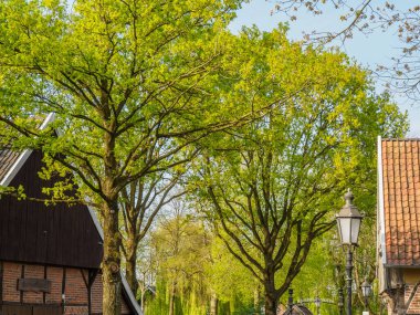 Borken şehrinin yakınlarındaki Alman muensterland 'inde bahar geldi.