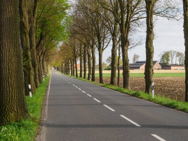 Borken şehrinin yakınlarındaki Alman muensterland 'inde bahar geldi.