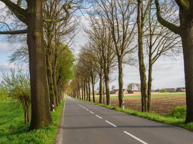 Borken şehrinin yakınlarındaki Alman muensterland 'inde bahar geldi.