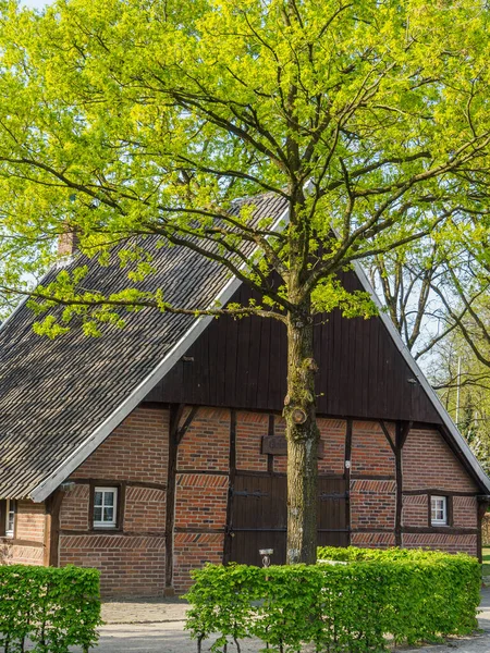 Primavera Nella Muensterland Tedesca Vicino Alla Città Borken — Foto Stock