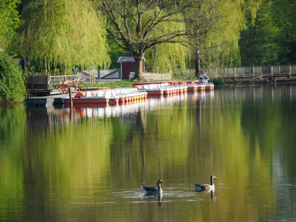 Lente Het Duitse Muensterland Nabij Stad Borken — Stockfoto