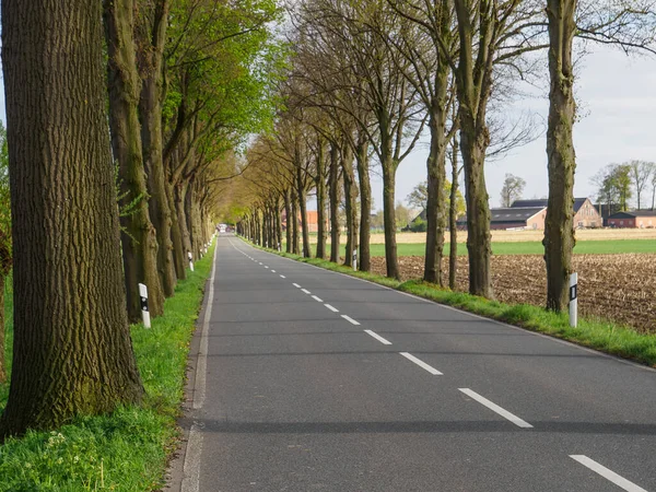 Printemps Dans Muensterland Allemand Près Ville Borken — Photo