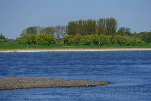 ヴェゼル市の近くのドイツの川のライン — ストック写真