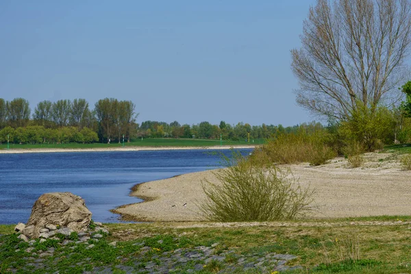 River Rhine Germany City Wesel — Stock Photo, Image