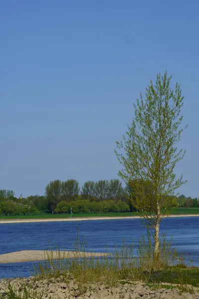 Rijn Duitsland Bij Stad Wesel — Stockfoto