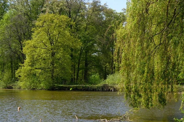 Alman Muensterland Indeki Raesfeld Şatosu — Stok fotoğraf