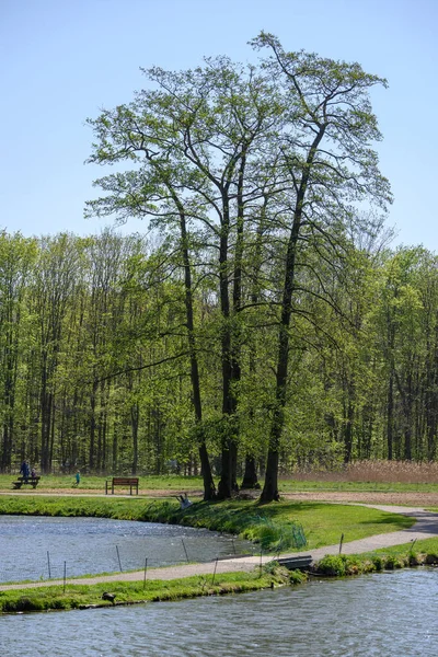 Castelo Raesfeld Muensterland Alemã — Fotografia de Stock