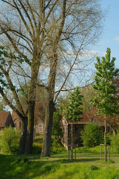 Printemps Dans Ville Allemande Vreden — Photo