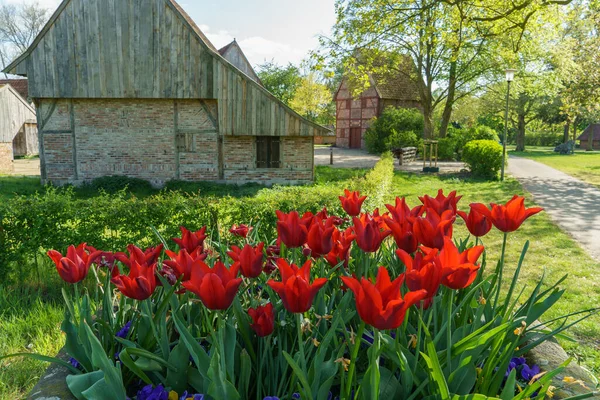 Lente Duitse Stad Vreden — Stockfoto