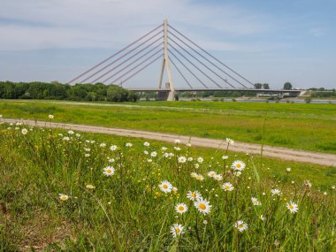 Almanya 'da Wesel yakınlarındaki Ren Köprüsü