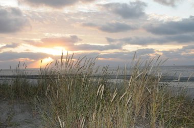 Kuzey denizindeki küçük Alman adası.