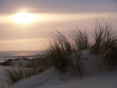 Kuzey denizindeki Alman adası