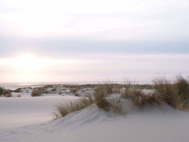 Kuzey denizindeki Alman adası