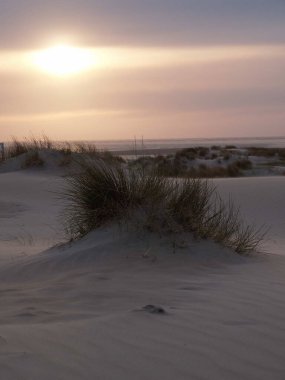 Kuzey denizindeki Alman adası