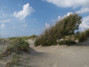 Kuzey denizindeki küçük Alman adası.