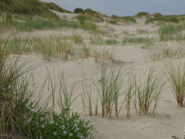 Kuzey denizindeki küçük Alman adası.