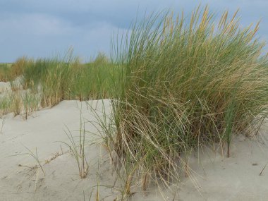 Kuzey denizindeki küçük Alman adası.
