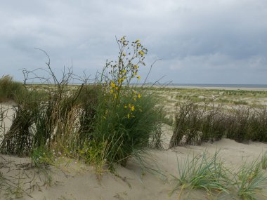 Kuzey denizindeki küçük Alman adası.