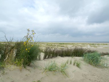 Kuzey denizindeki küçük Alman adası.