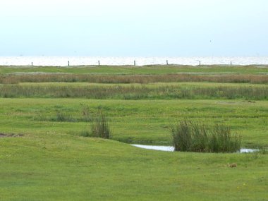 Kuzey denizindeki küçük Alman adası.