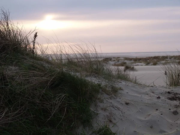 Île Allemande Mer Nord — Photo