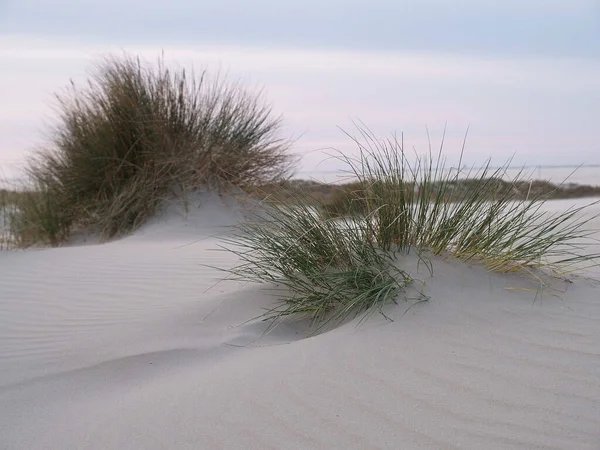 Isola Tedesca Nel Mare Del Nord — Foto Stock