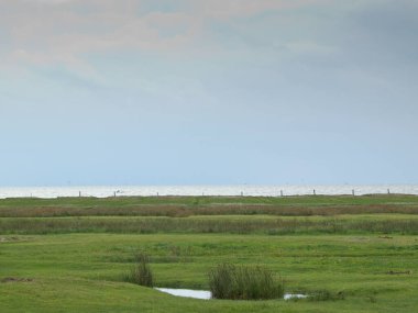 Kuzey denizindeki küçük Alman adası.